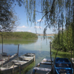 foto x territorio e dintorni lago di chiusi 2