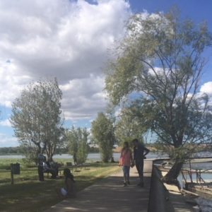 foto x territorio e dintorni lago di chiusi 3