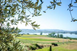 Agriturismi a Siena 5